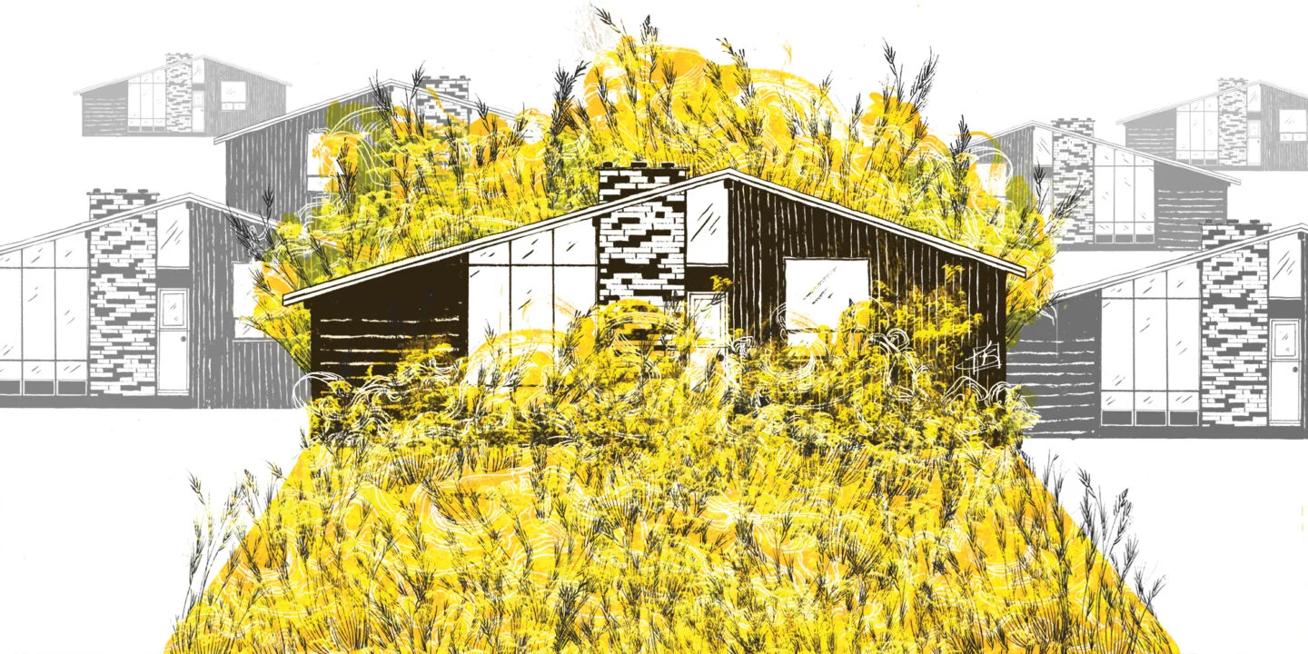 Our shared garden: The importance of native plants