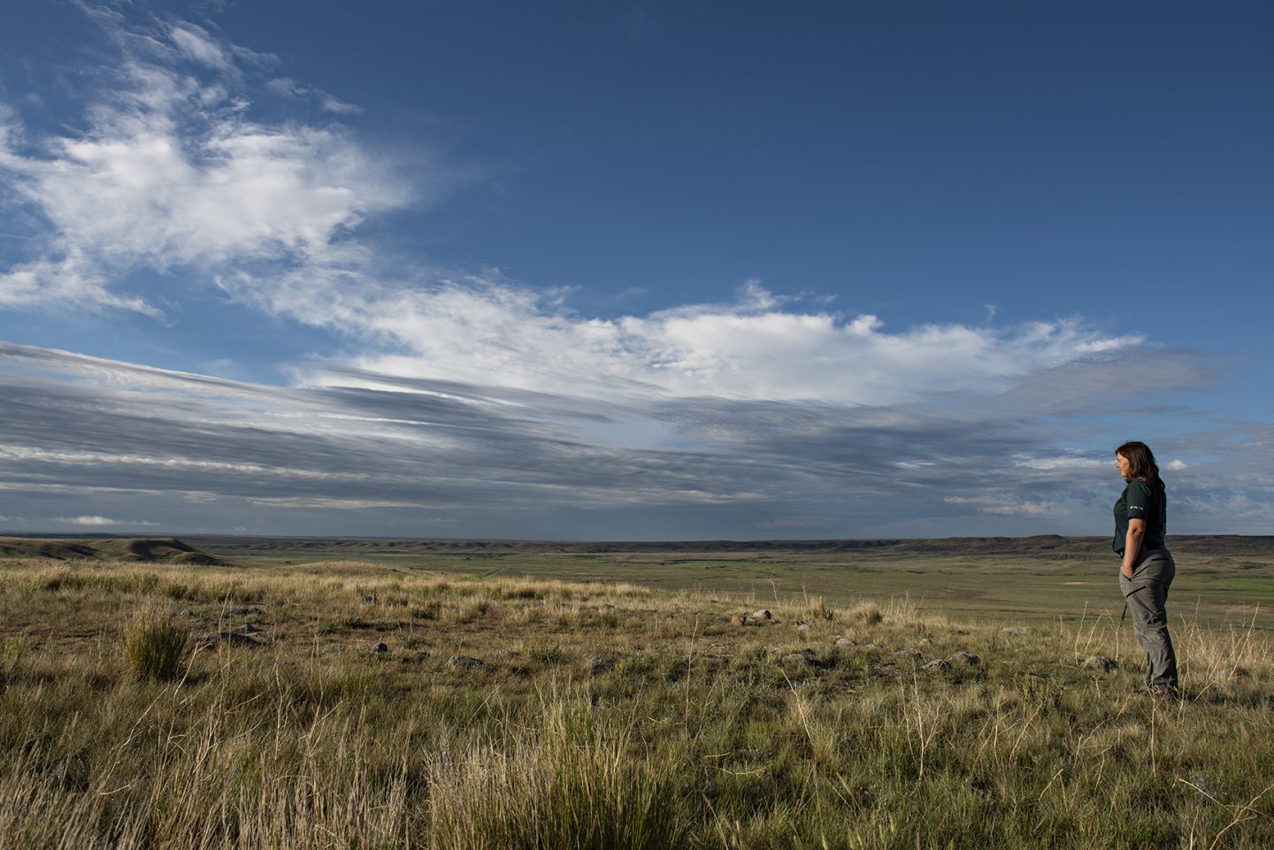 Guardians of the grasslands